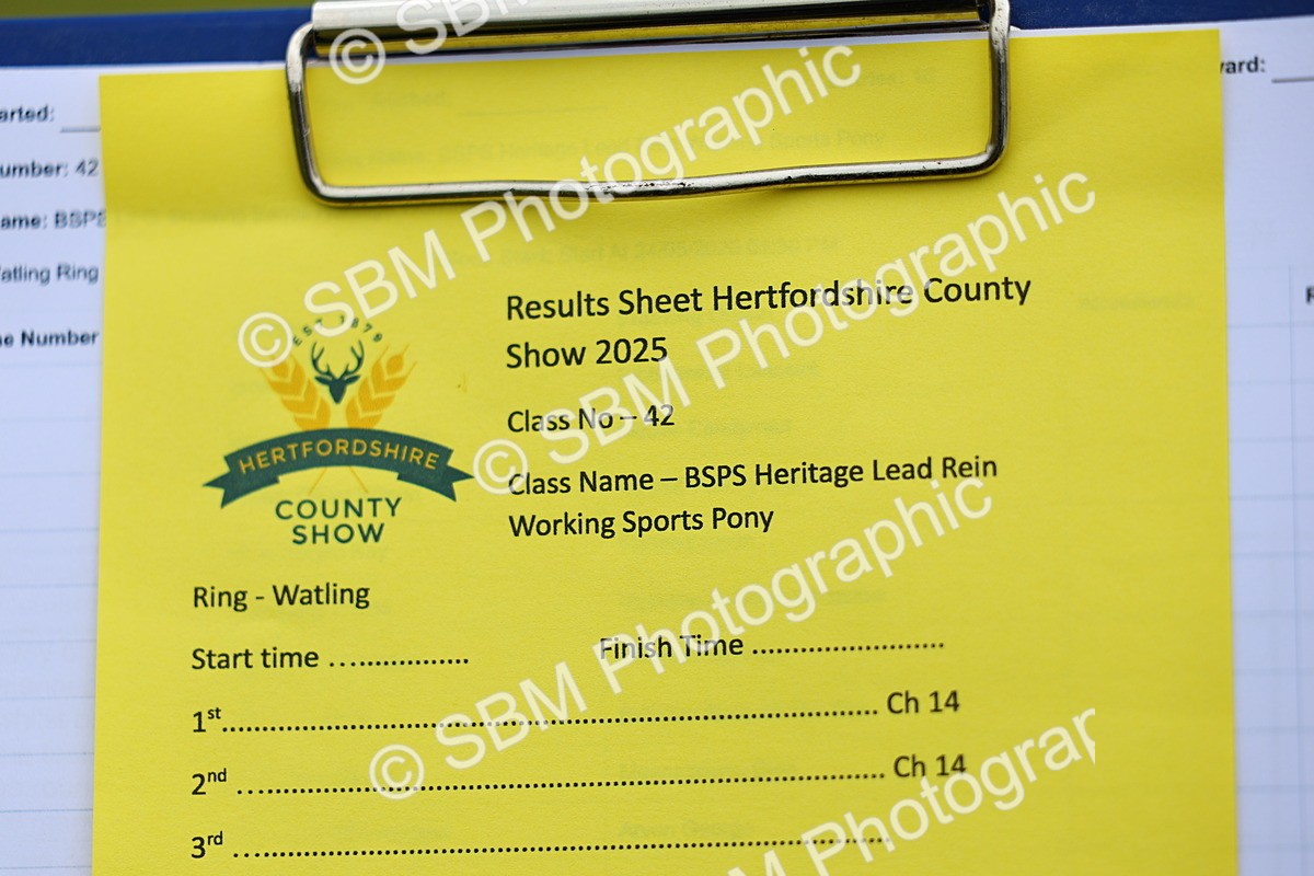 SBM_08055 - Class 42-43 - LIHS BSPS Heritage Working Sports Pony