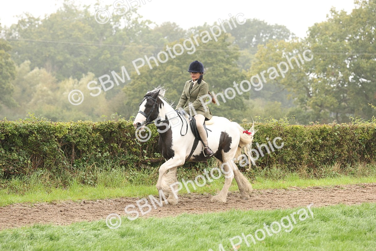 SBM_72729 - S70 - Traditional Cob Ridden