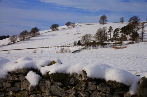 116 - SCOTTISH BORDERS