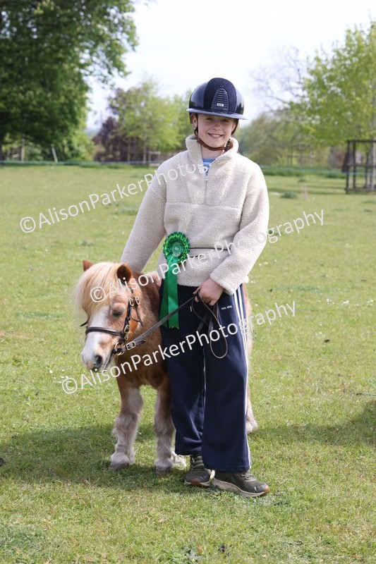 20260426-3223 - Class 26 - Shetland Ponies and Minitures