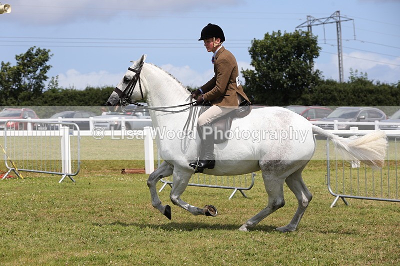 1X9A4174 - Class 33: Intermediate SRT/SH