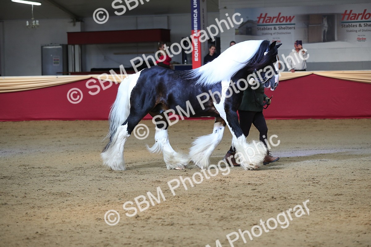 SBM_01368 - Class 3a Area IH Pre Vet