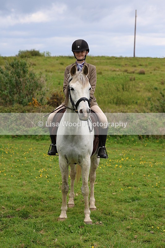 3E7A2140 - Class 11: Ridden Arab