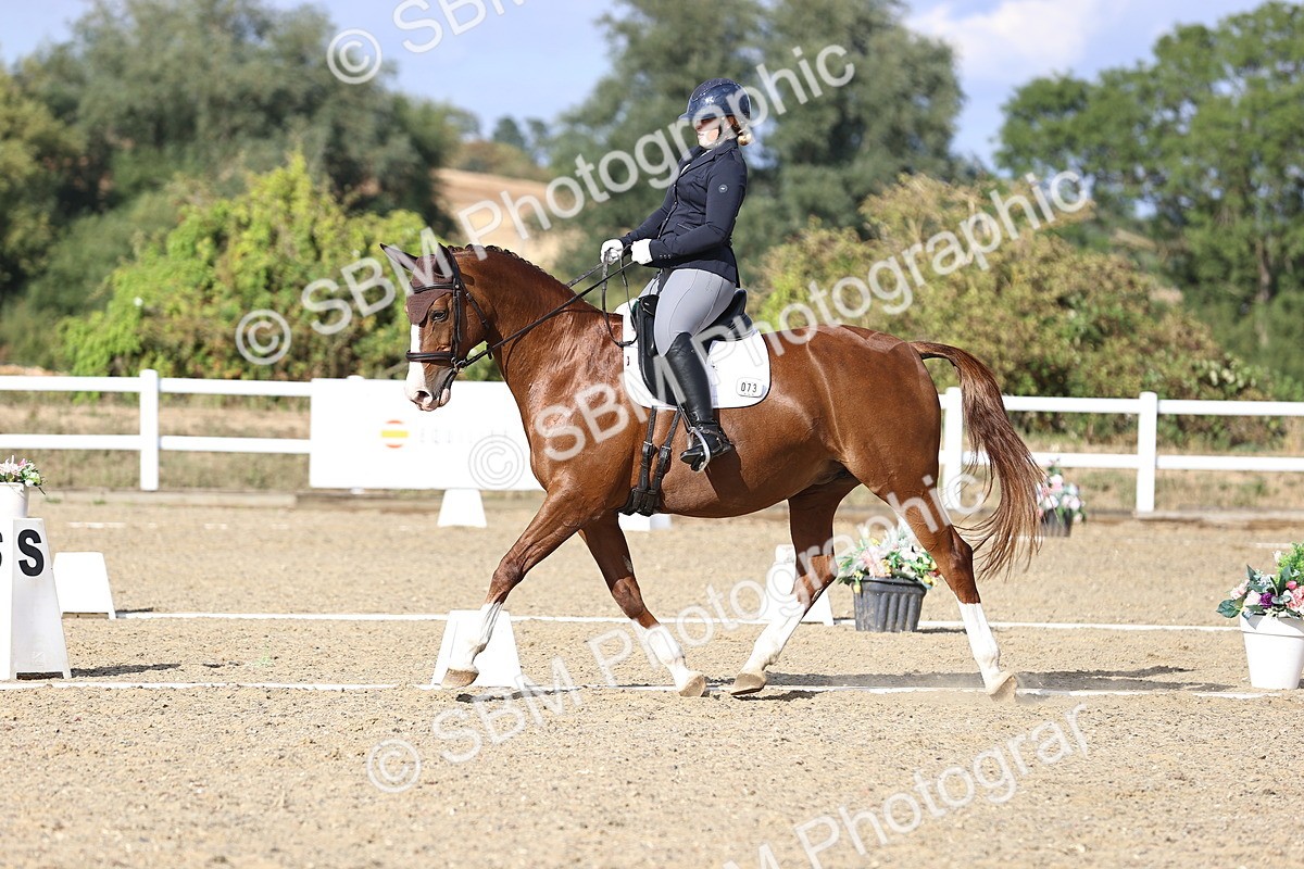 SBM_016039 - Class 5 - E5 Bronze  16.18.17.22