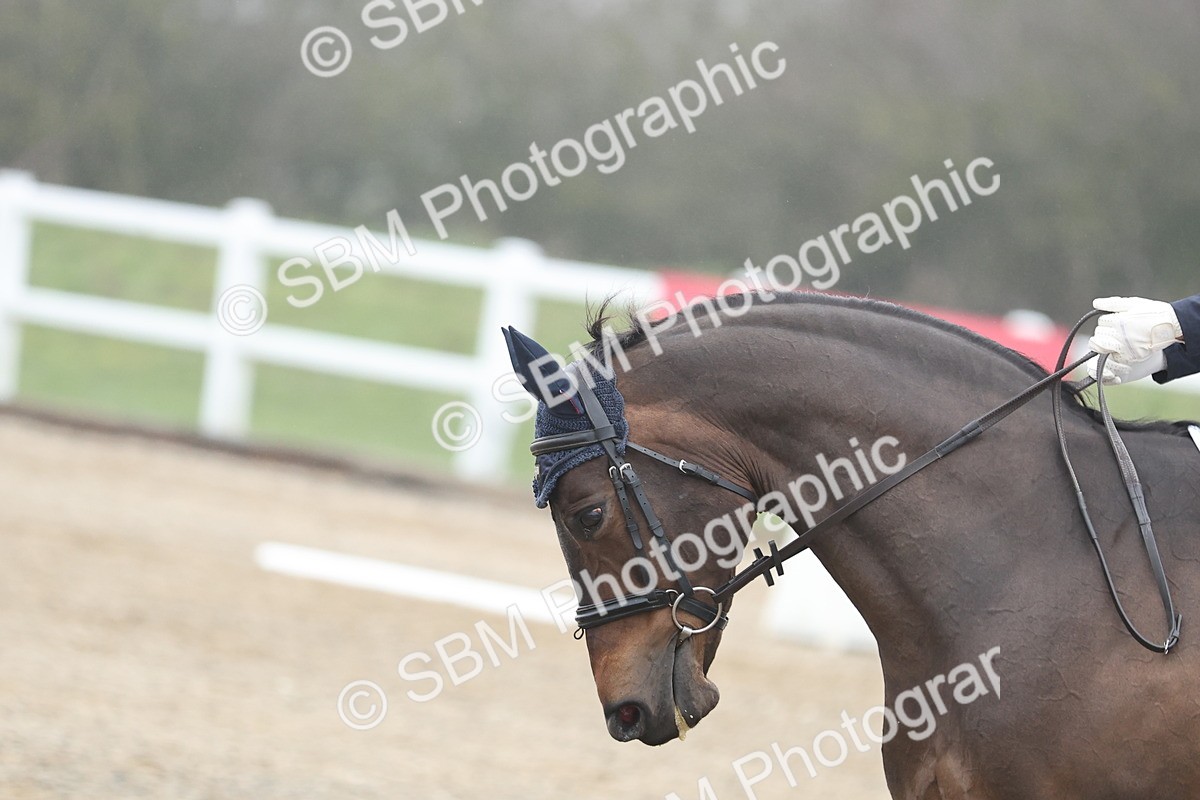 SBM_000451 - Class 15-12 - E1-P3