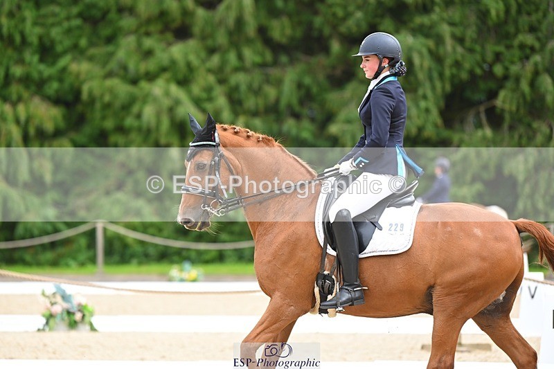 230813-133944-07617 - Cls 13 Medium Bronze 13.15 to End