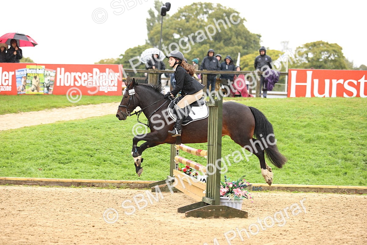 SBM_69996 - Supreme Championship 80cm 85cm
