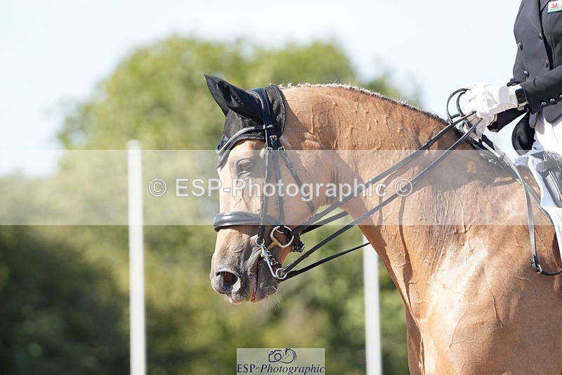 250906-154748-04865 - 054-Amy.Louise.LloydDiva.Royale