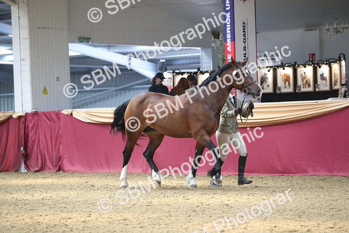 SBM_15179 - Class 501 M&M IH Supreme Final