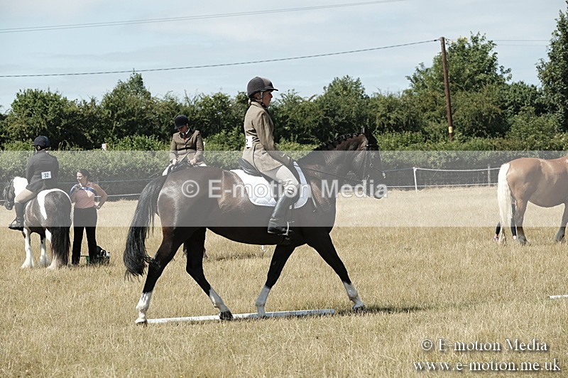 _PJP5866 - Dressage Classes BVRC Show 2018