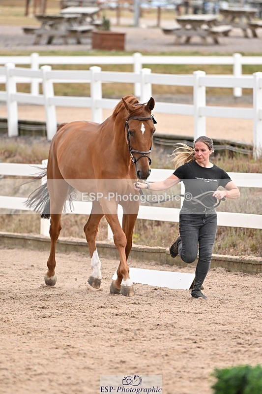 250716-151428-01812 - Trot Up 2.30 to 3.30