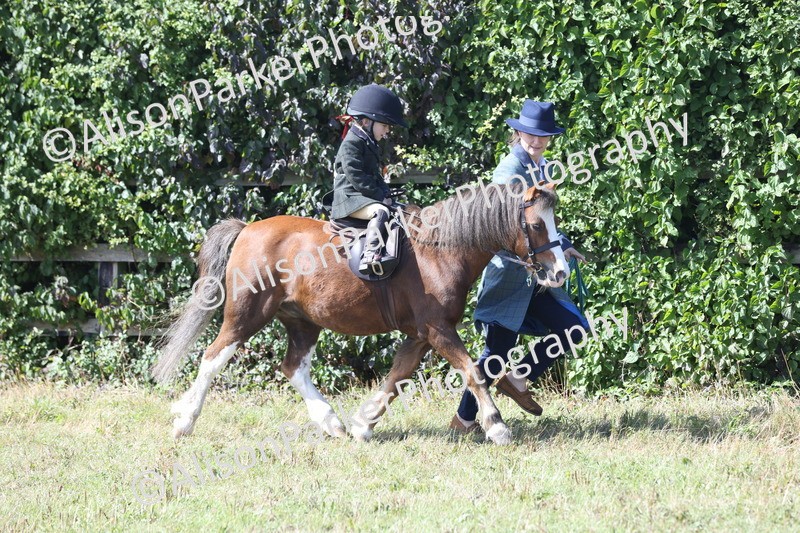 20250831-2610 - Class 17 - Lead Rein Pony