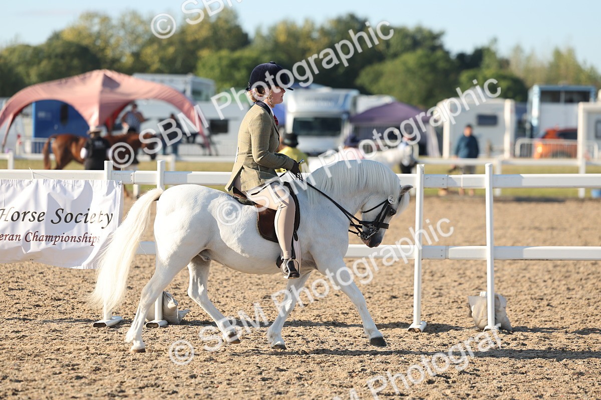SBM_10889 - Class 301 - Ridden M&M Small Breeds