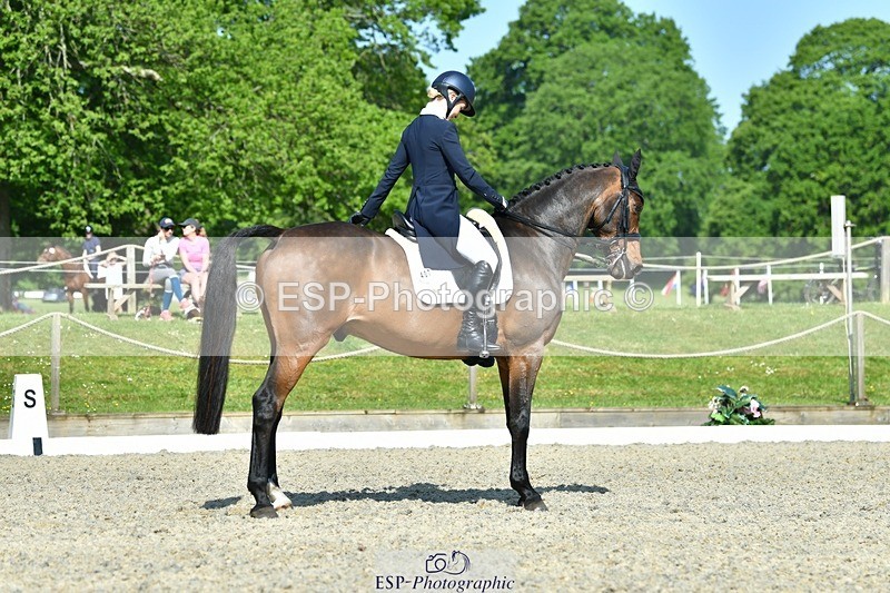 230525-093750-03782 - 407-KING_OF_THE_SWINGERS-Louise_Bradley-DR