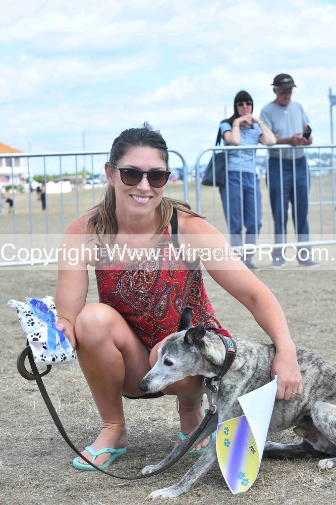 SH4_0194 - Dog show.
