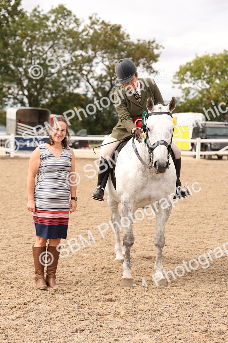 SBM_16527 - Class 212 - Ridden Hunter - Small