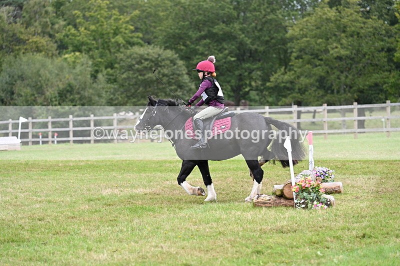 WJ7_7317 - 40cm Time 10:06 to 10:24