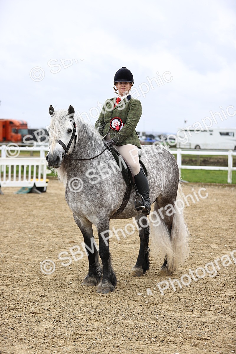 SBM_007605 - Class 31-32 - M&M Confined Novice Small-Large