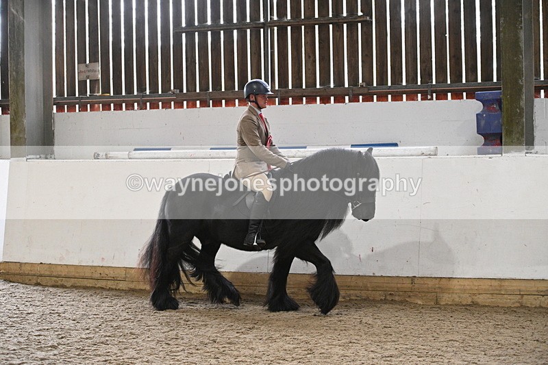 WJ7_4485 - Afternoon Champs