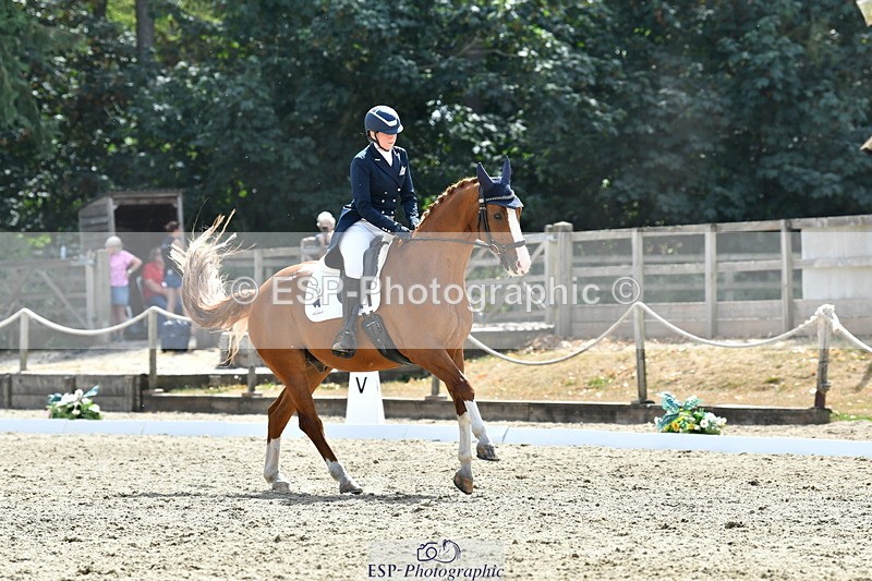 260802A-151841-07359 - Intermediate Bronze