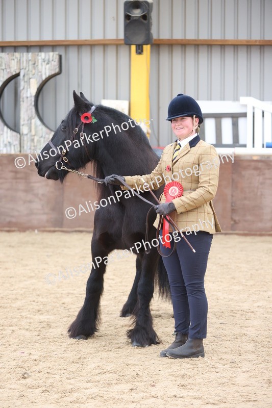 20251109-1091 - Class 29 - Geldings 4 Years and over