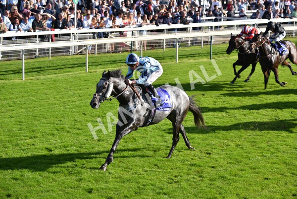 yr08102021r3-32 - Race 3 3.15pm Download The Casumo App Today Handicap