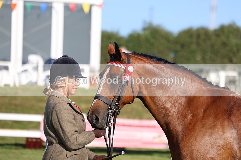 3E7A5124 - Class 1: Rising Star Small Hack/Riding Horses