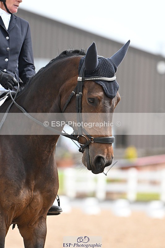 250620-105548-02723 - BD Cls 4 - Novice 5, Start to 11.30am