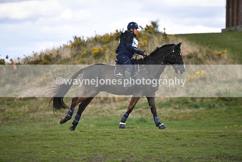 WJ5_3619 - Time 14:19 to 14:53