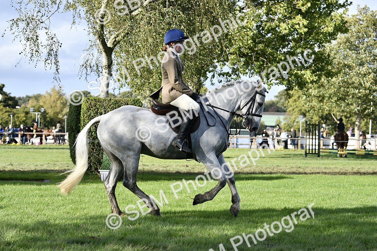 SBM_52215 - S35 - Working Hunter & Working Show Horse