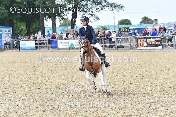 BPP_0186 - RHS 2019 Selection - *Just some random spectator shots so Lucky Dip if you are there!