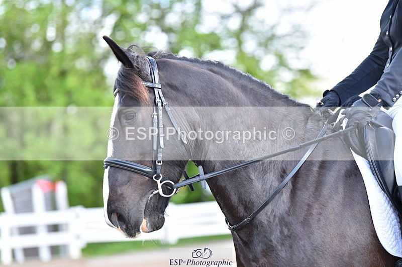 230511A-100650-00201 - BD Cls 2 Prelim 17A