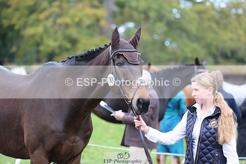 251026A-110327-23479 - G-566-Charlotte.Smith