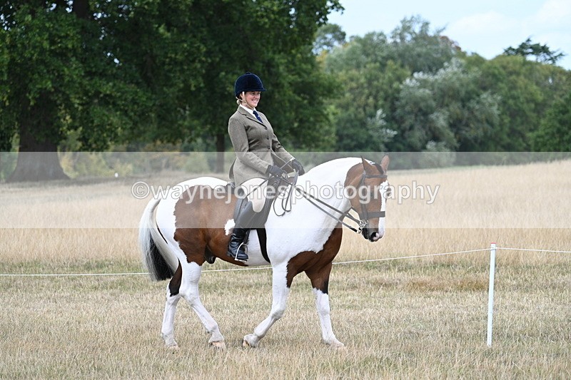 WJ7_4615 - Class 12 Ridden Cob