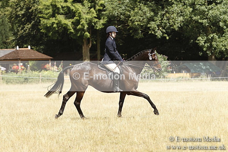 _BS_0787 - BVRC Show 2018 Ring 1