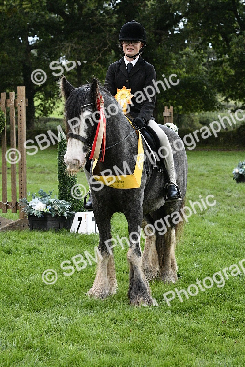 SBM_53369 - S14 - Riding Club Horse