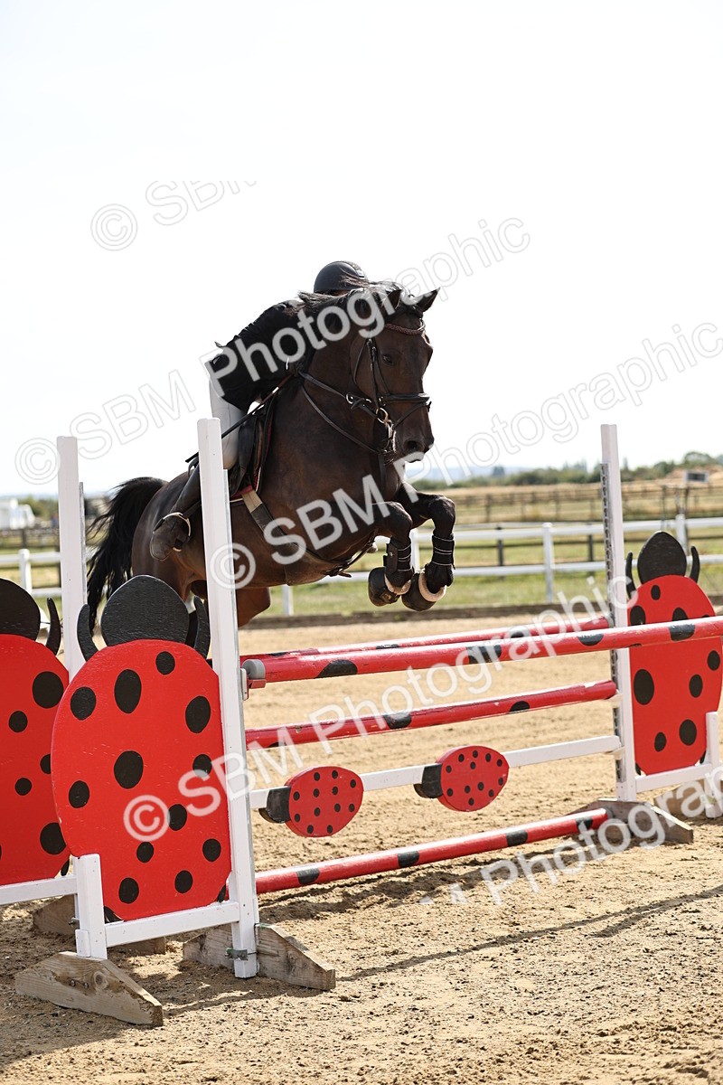 SBM_005062 - Class 6 = Senior Newcomers - 1.10m Open