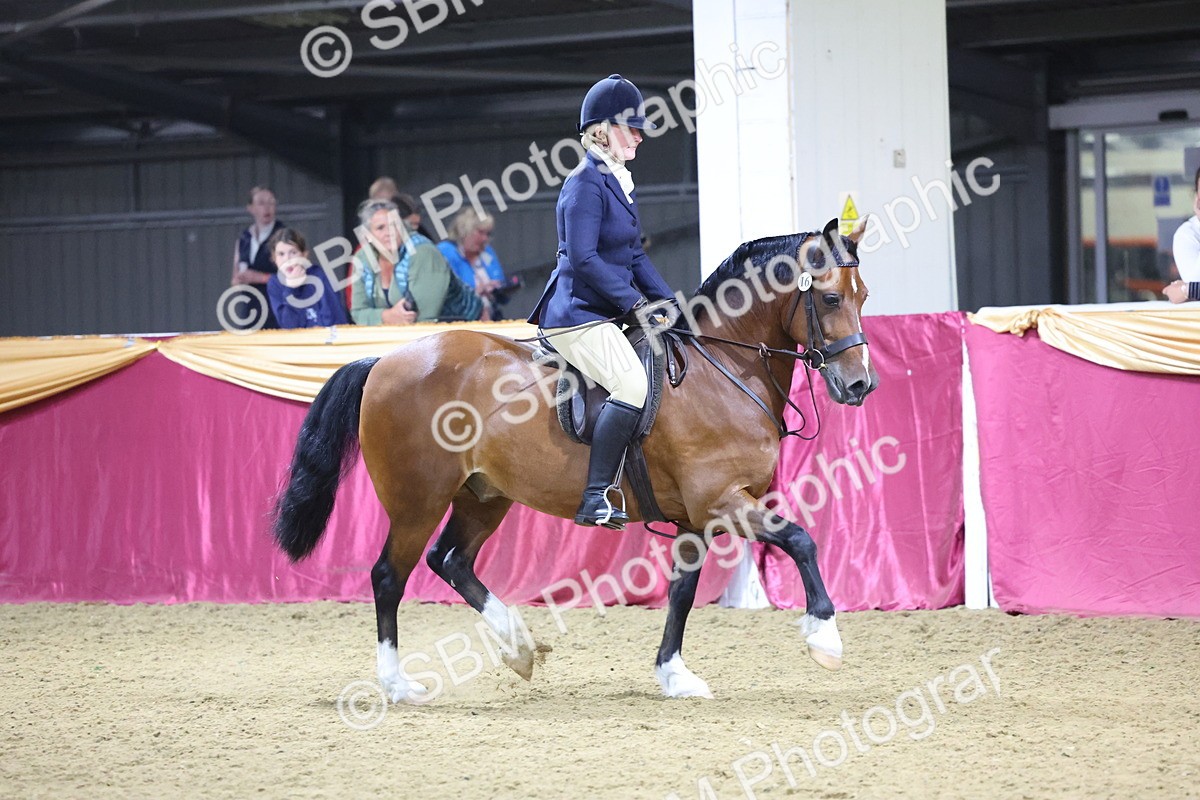 0B8A4690 - Class R Working Veteran Champ