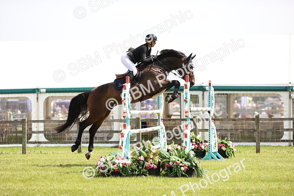 SBM_03223 - Class 201 - British Horse Feedds Speedi Beet HOYS Grade C