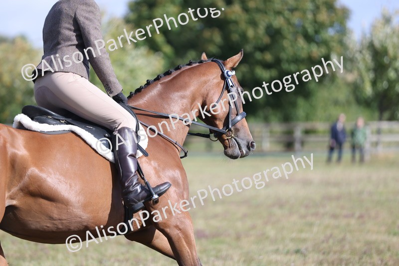 20250831-0923 - Class 14 - Ex Racehorse