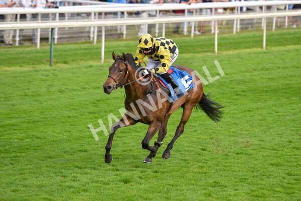 yr23072021r3-29 - Race 3 7.00pm The JKH 80th Birthday Celebration EBF Novice Median Auction Stakes (Plus 10 Race)