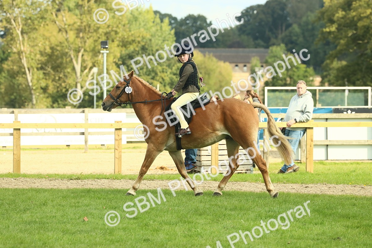 SBM_62488 - S62 - Foreign Breeds Ridden