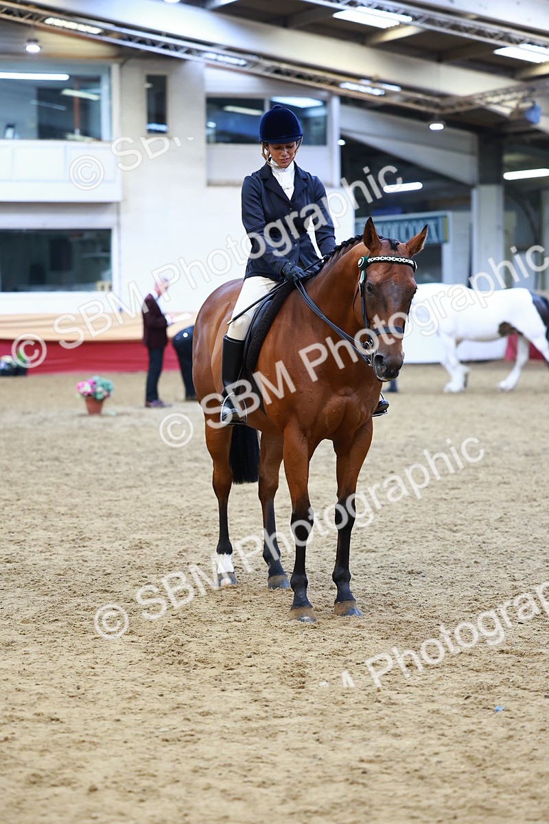 SBM_23518 - class 906 - Supreme Final - Ridden Pre Vet