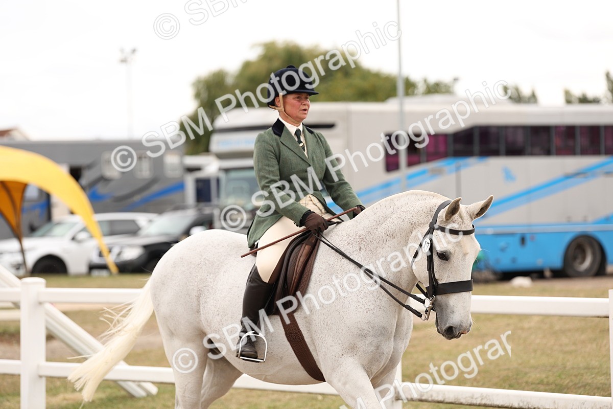 SBM_19484 - Class 215 - Ridden Show cob