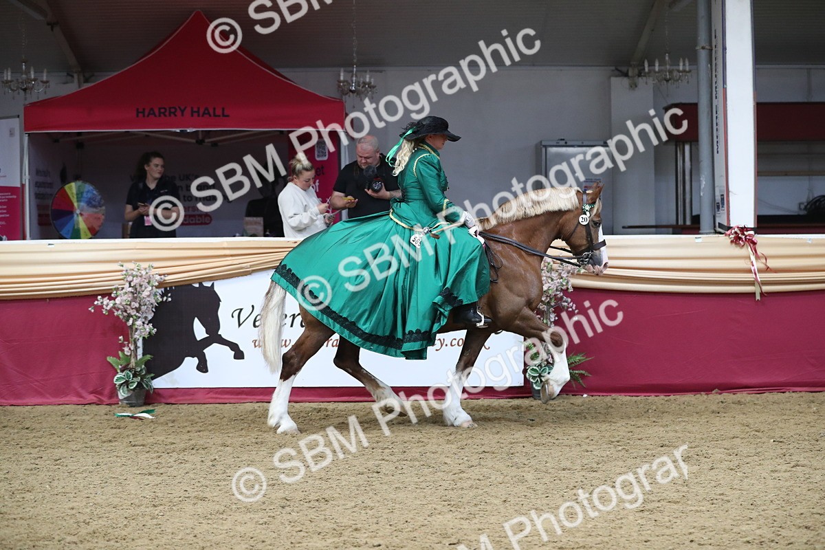 SBM_12233 - Class 107 Ridden Costume- Astride Adult (20+)