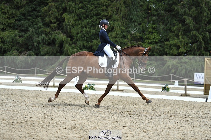 230812-140810-04613 - Cls 7 FEI PSG Bronze