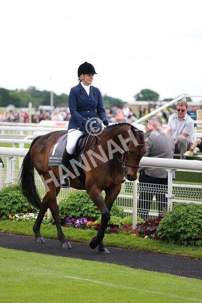 yr22052022r8e-96 - ROR - Parade Ring York