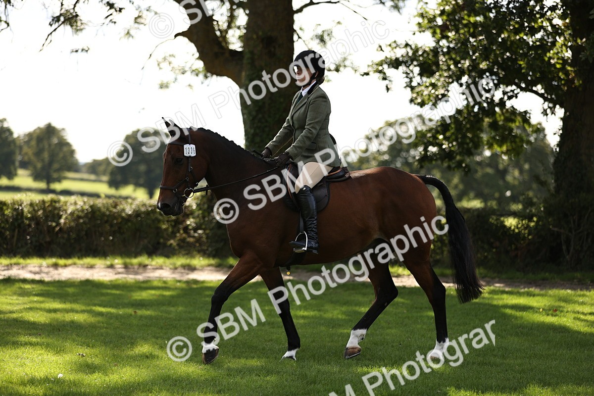 SBM_26382 - S6 - Novice & Newcomers Ridden Horse