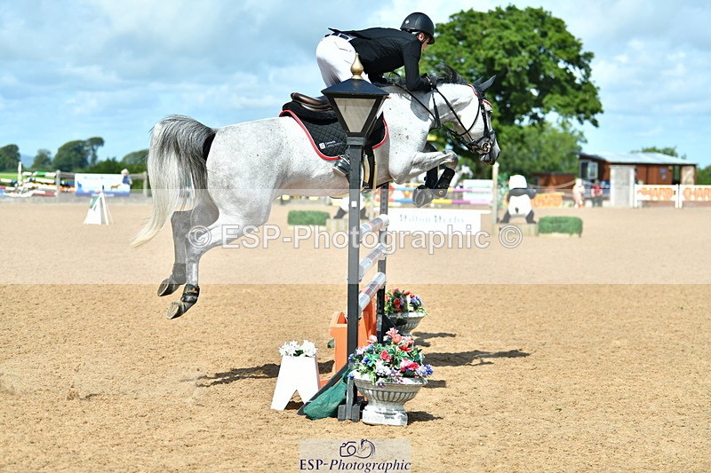 230811A-114159-03974 - Cls 20 Snr Fox