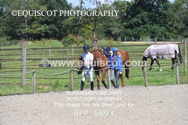 BPP_6893 - CLASS 6 Senior Newcomers/ 1.10m Open